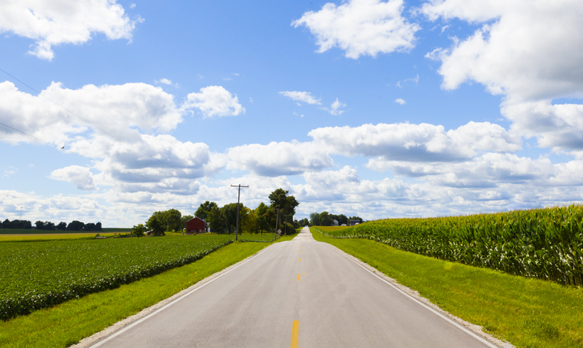 image of a road with cornfields on each side